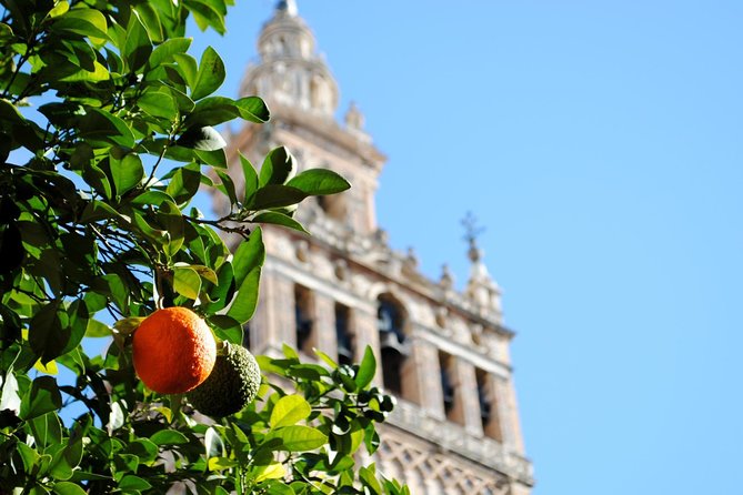 Seville Panoramic Walking Tour - Barrio Santa Cruz: The Neighborhood Stop That Actually Sticks