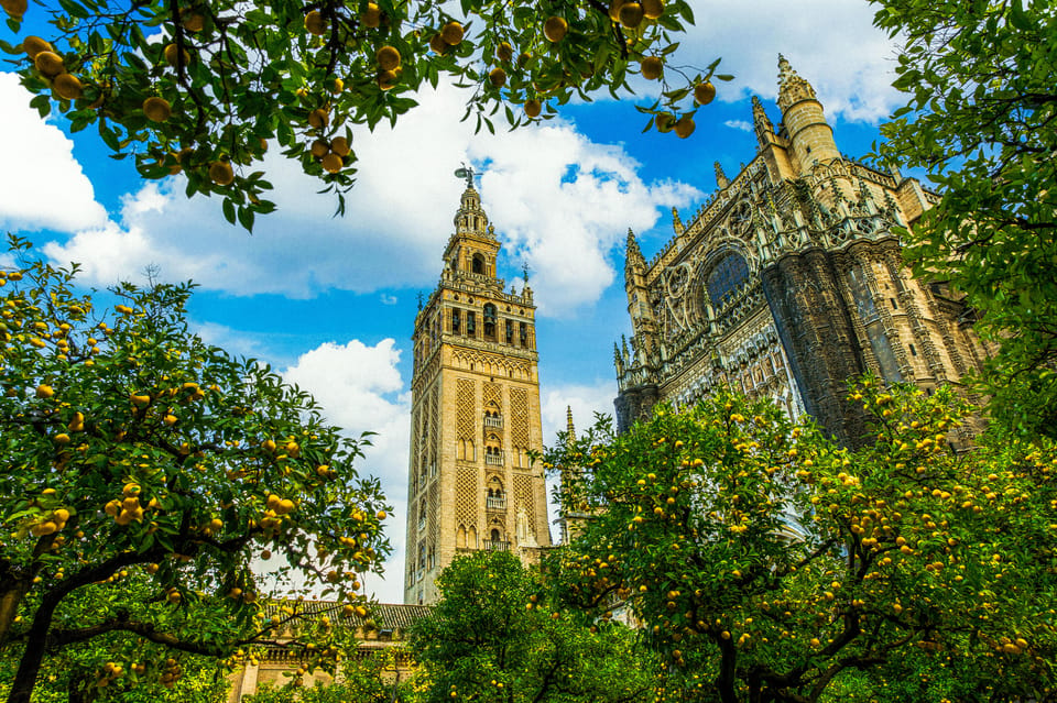 Seville: Priority Access Cathedral, Giralda & Alcázar Tour - Patio de Doncellas and the Gardens: Where You’ll Pause for Photos