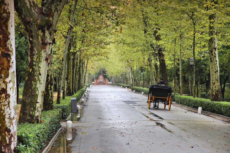 Seville: Private E-Bike City Highlights Tour - The Alcázar of Seville: the stop that deserves your camera roll