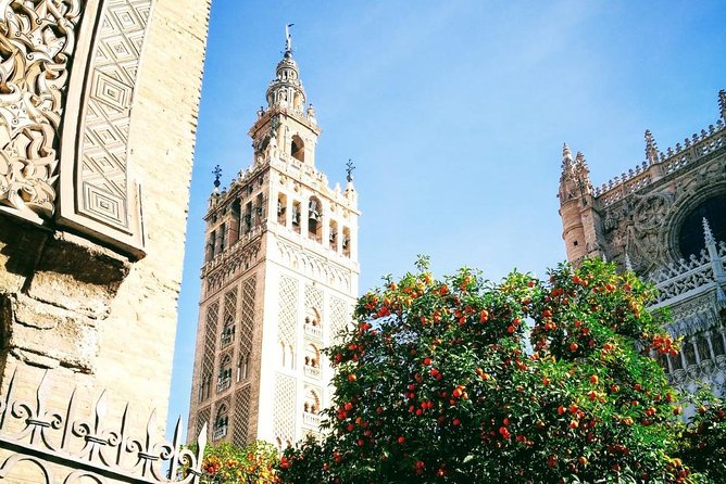 Seville Private transfer to Lisbon with Optional Evora stop - Should You Book This Transfer With or Without Evora