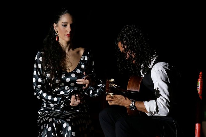 Seville Pure Flamenco Tour - Price and logistics: central, short, and built for walking