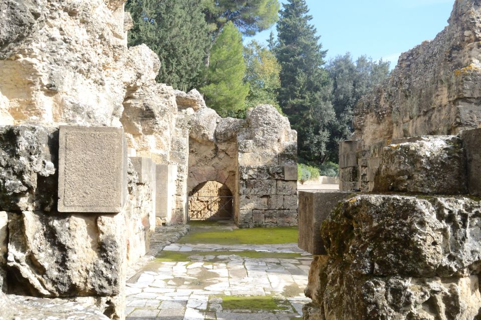 Seville: Roman City of Itálica 2 Hour Tour - Key things to love about the Itálica 2-hour tour