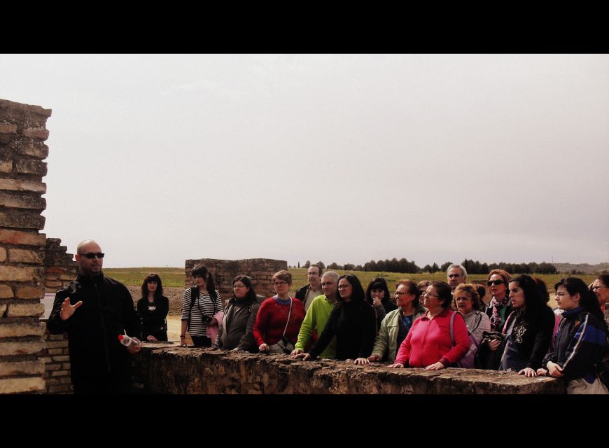 Seville: Roman City of Itálica 2 Hour Tour - What you’ll do during the 2 hours