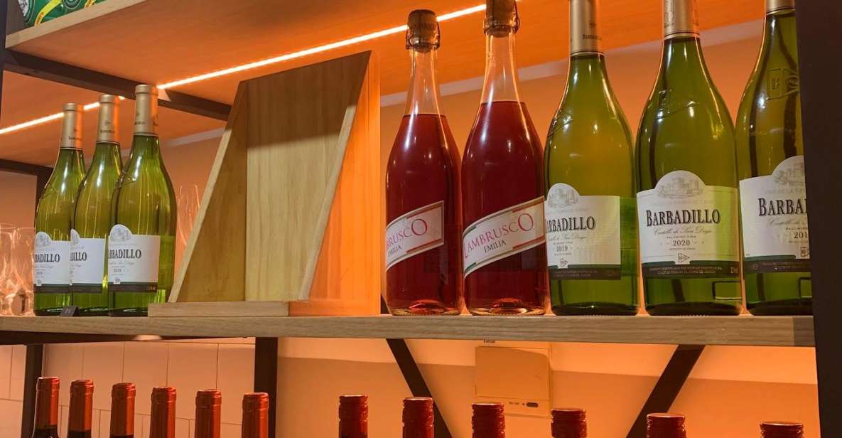Seville: Sherry Wine Tasting with Light Snacks - Key things to know before you go
