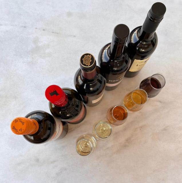 Seville: Sherry Wine Tasting with Light Snacks - Pairings that actually work: olives, Manchego, and Iberian ham