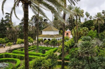 Seville: Small-Group Alcázar Guided Tour & Entry Ticket - Plaza del Triunfo meeting point and what the first minutes feel like