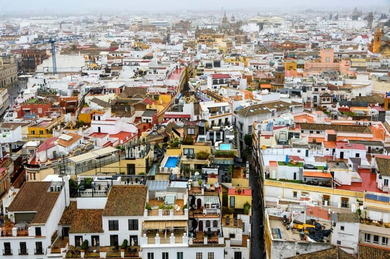 Seville: Sunset Roof Top Walking Tour - Start at Plaza Nueva: a smart orientation before you wander