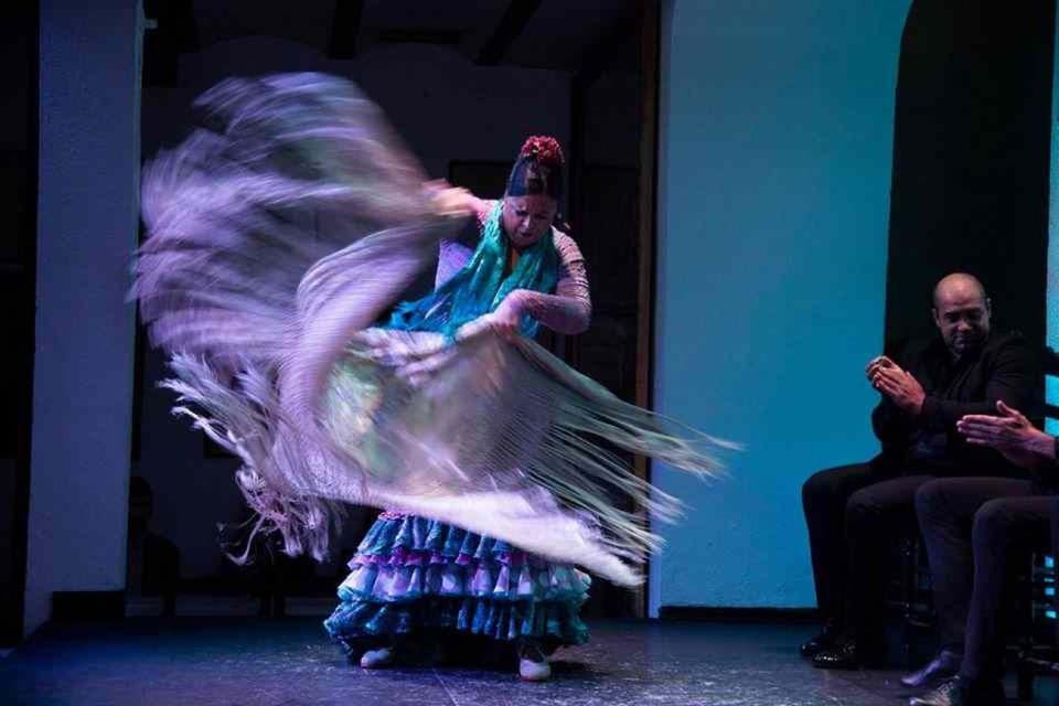 Seville: Tapas Dinner and Flamenco Show - Inside the tablao: 10+ artists and the show pace