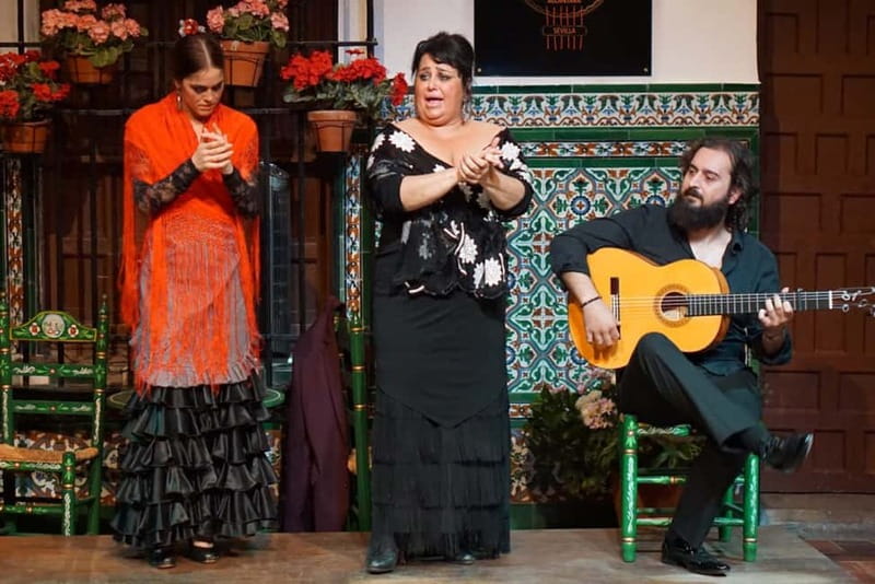 Seville: Tapas Walking Tour with Traditional Flamenco Show - VINERIA SAN TELMO: wine tasting and shared plates after the dancing