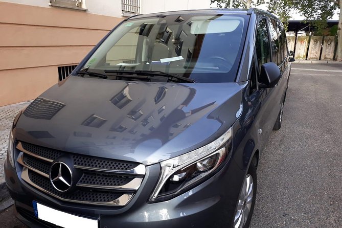 Seville tour with private car - Setas de Sevilla: yes, they really look like mushrooms