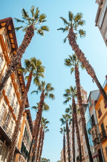 Seville: Transfer to Málaga with visit to Ronda - Pickup, Car Comfort, and the Luggage Reality Check