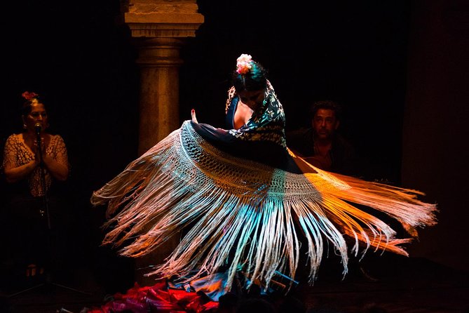 Skip the Line: Museo del Baile Flamenco Admission Ticket - Who this museum ticket suits best