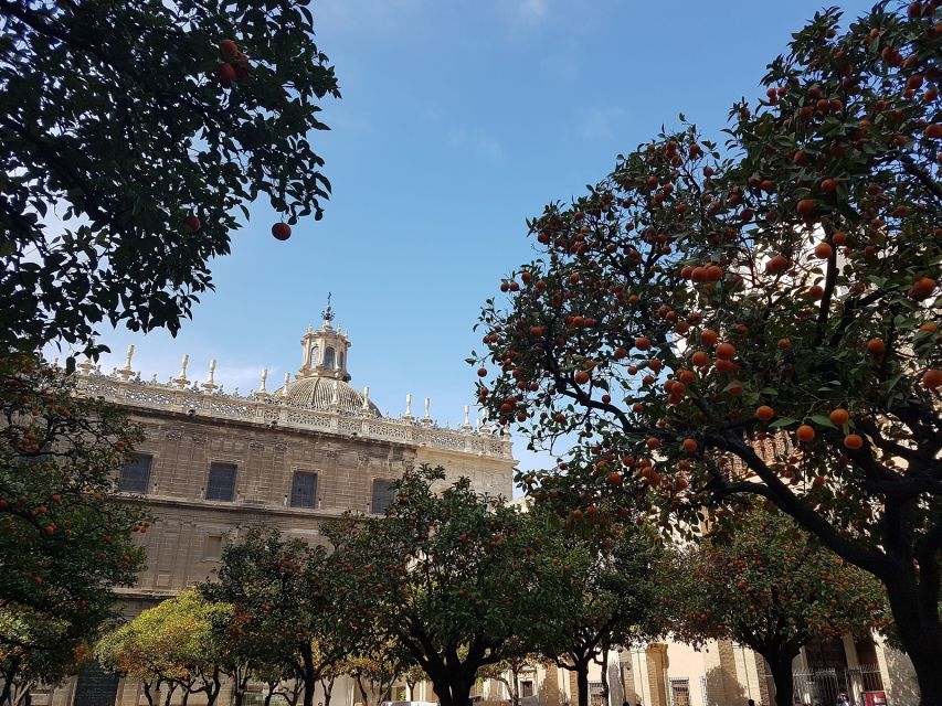 The Best of Seville: Private 2,5 Hour Walking Tour - Santa Cruz: The Medieval Streets That Make Seville Feel Like Seville
