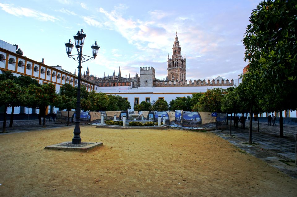 The Cultures of Seville Walking Tour - Key things you’ll notice on the Cultures of Seville walk