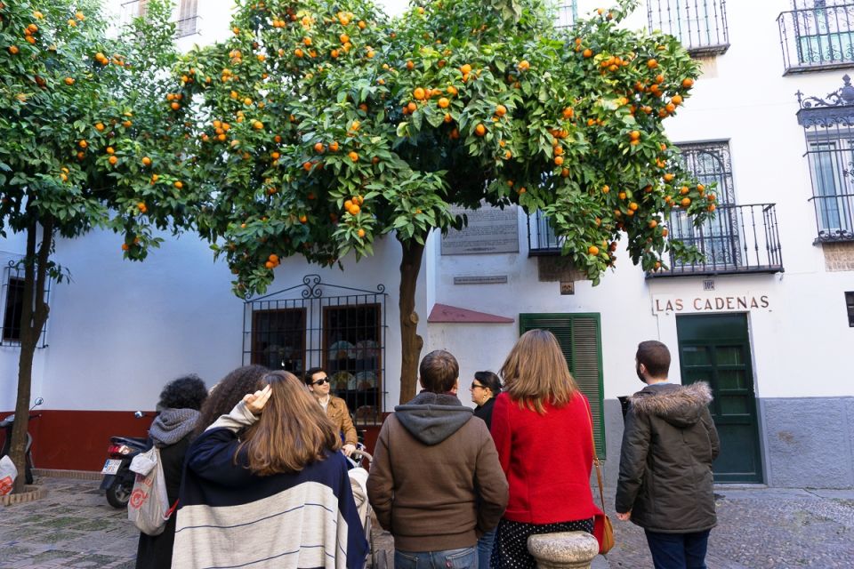The Cultures of Seville Walking Tour - Passing Fabiola Street and Plaza de la Alfalfa when history gets tense