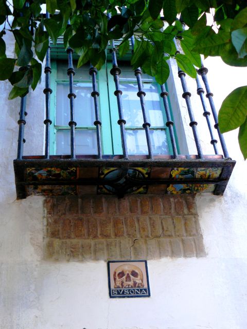 The Cultures of Seville Walking Tour - Value check: why $17 can make sense for Seville