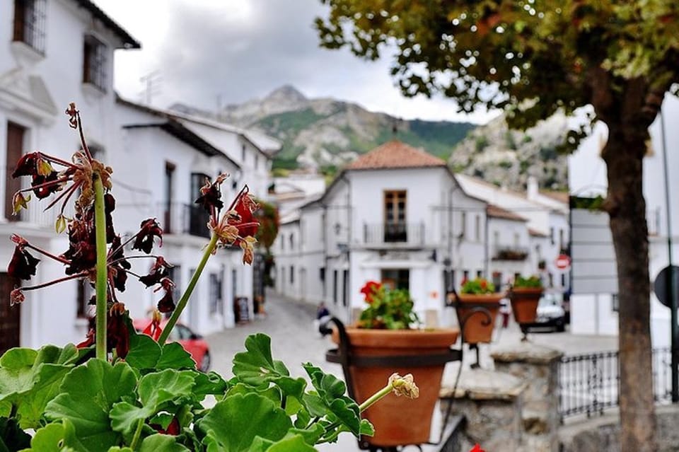 The Villages of Andalusia: Full-Day Trip from Seville - Who This Trip Fits Best (and Who Should Skip It)