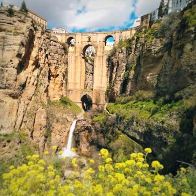 The Villages of Andalusia: Full-Day Trip from Seville - Tapas, Lunch, and the Food Puzzle You Should Budget For