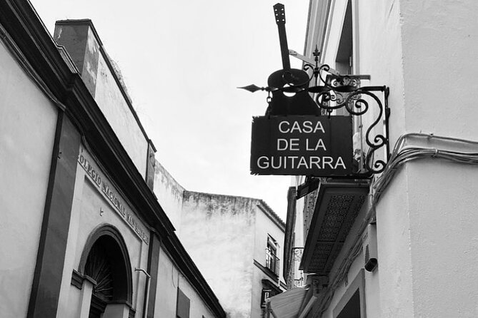 Ticket for Casa de la Guitarra Flamenco Show - Who should book (and who might want a different flamenco style)