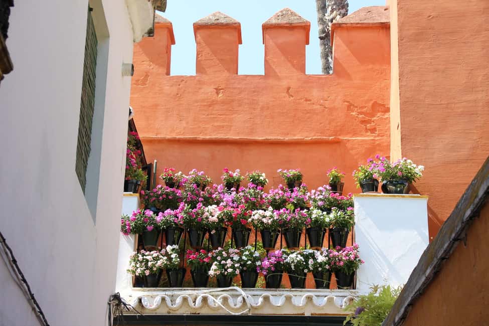 Tour Sevilla de las 3 Culturas - Should you book the Tour Sevilla de las 3 Culturas?