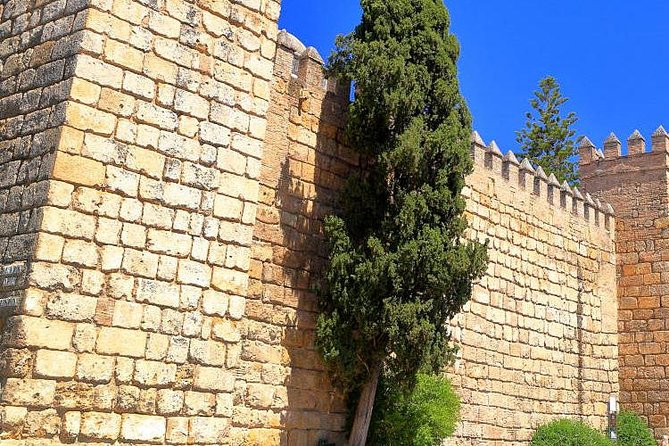 Tour Seville Complete and Jewish Quarter Santa Cruz - Price and value: why $11.86 can work (and when it might not)