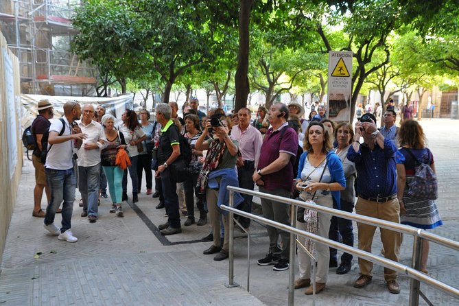 Unmissable Seville private tour - Practical tips so you enjoy every stop