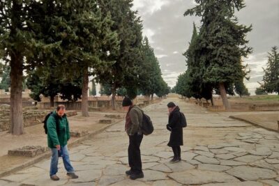 Visit to Italica Roman Ruins Tour tickets included - Santiponce warm-up: a quick orientation that sets the tone