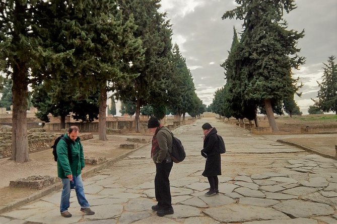 Visit to Italica Roman Ruins Tour tickets included - Santiponce warm-up: a quick orientation that sets the tone