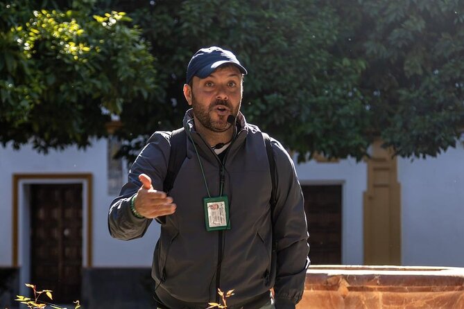 Walking Tour of Sevilla's Historic Sites - Puerta del Perdón and Torre Giralda: the Cathedral area in one focused walk