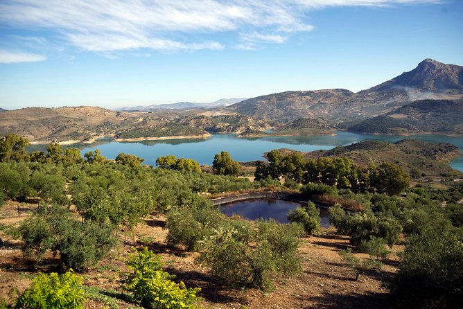 White Villages and Ronda Day Tour from Seville - Key highlights to know before you go