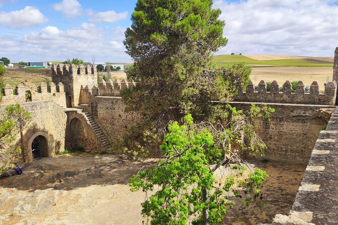 White Villages and Ronda Day Tour from Seville - Ronda: Puente Nuevo and the cliff-city feeling (time matters)