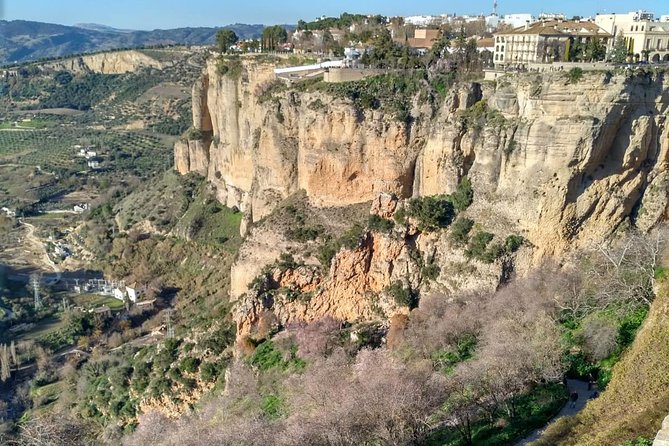 White Villages and Ronda Guided Day Tour from Seville - Price and value around $95: what you’re really buying