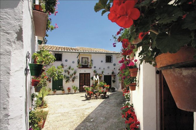 White Villages & Ronda 2 Days Tour from Seville - Day Two Leisure in Ronda Before the Return to Seville