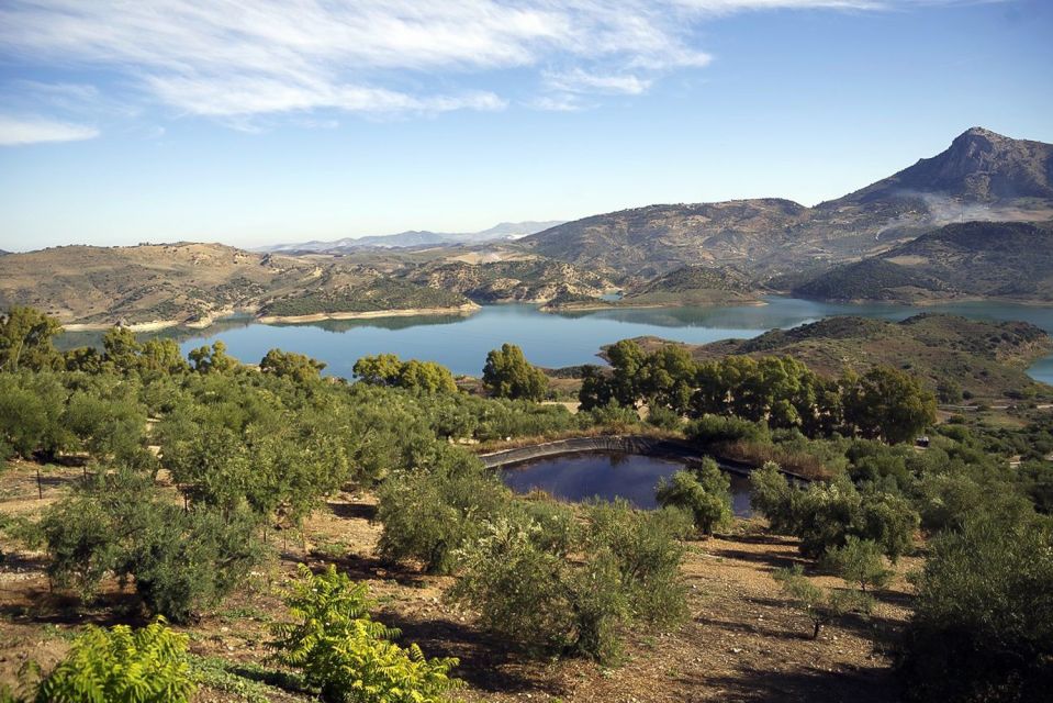 White Villages & Ronda 2-Days Trip & Overnight Stay - Overnight stay: what to expect before day two