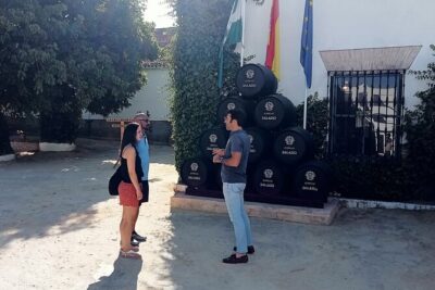 Wine tourism, visit to a traditional winery and wine tasting - How the Guided Visit Builds Your Wine Nose (Aromas, Taste, Color)