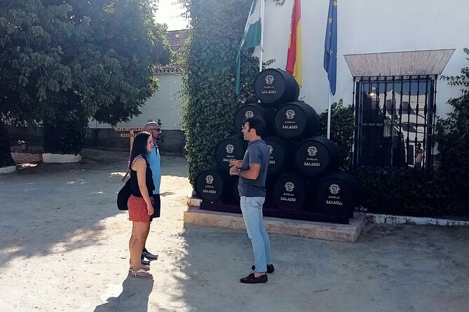 Wine tourism, visit to a traditional winery and wine tasting - How the Guided Visit Builds Your Wine Nose (Aromas, Taste, Color)