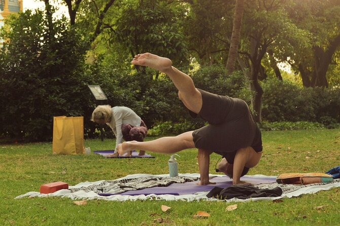 Yoga at María Luisa Park in Seville - The 90-Minute Flow: Meditation, Sun Salutations, and Pranayama