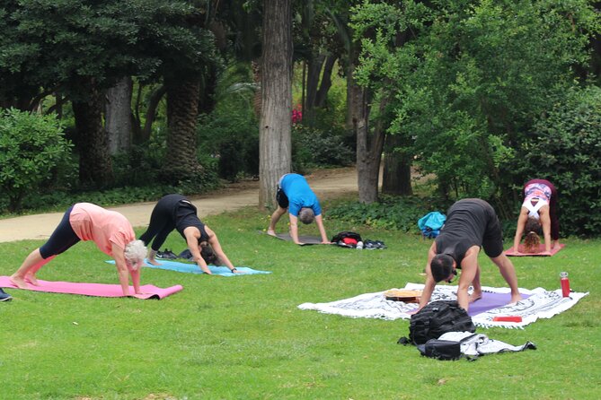 Yoga at María Luisa Park in Seville - Price and Timing: Is $16.82 Good Value?