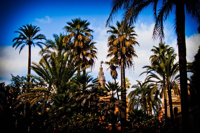 “Your First Day in Seville, the Local Way” - Barrio Santa Cruz: Old Jewish Quarter Streets and Easy Food Focus